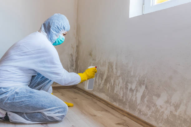 Licensed Mold Testing service in Selma, TX - WQB Mold Removal